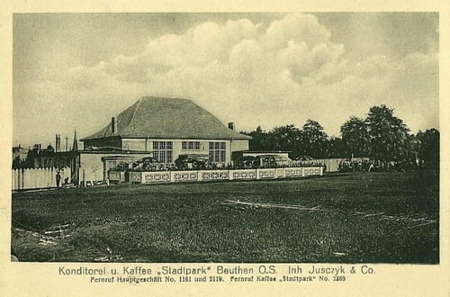 nowe-19514.jpg