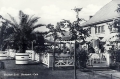 nowe-19515.jpg