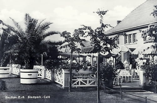 nowe-19515.jpg