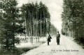 nowe-19537.jpg