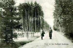 Bytom Dąbrowa - Reprodukcja 19537