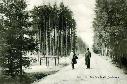 nowe-19537.jpg