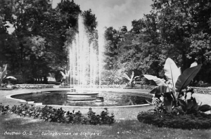 Bytom park - Reprodukcja 19549