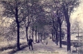 nowe-19556.jpg