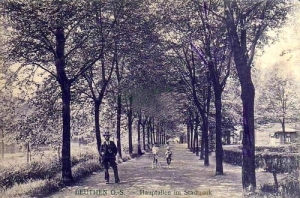 Bytom park - Reprodukcja 19556
