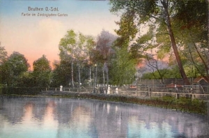 Bytom - Reprodukcja 19616