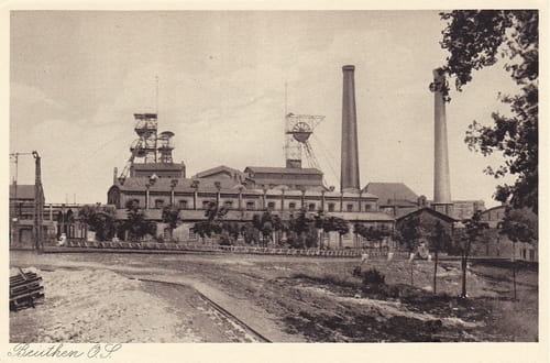 nowe-19633.jpg