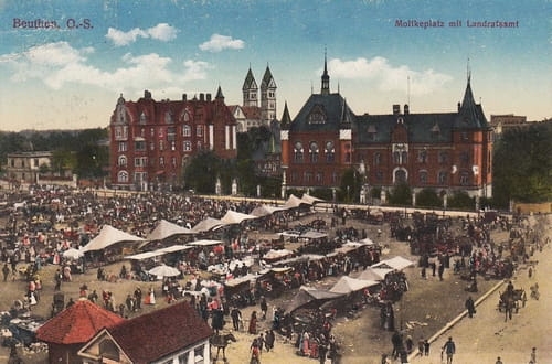 nowe-19717.jpg