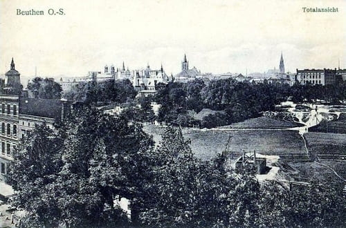 nowe-19767.jpg