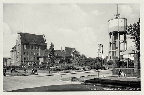 nowe-19773.jpg