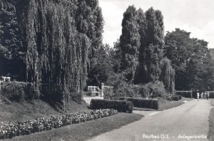 Bytom park - Reprodukcja 19776