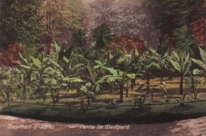 Bytom park - Reprodukcja 19781