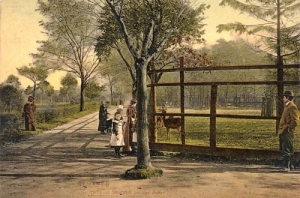 Bytom - Reprodukcja 19782