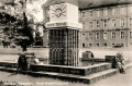 nowe-19853.jpg