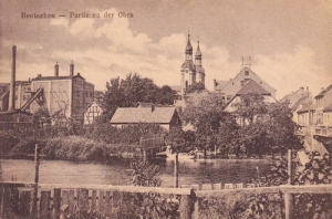 Zbąszyń panorama - Reprodukcja 19879