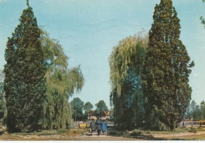 Kudowa Zdrój - 07719