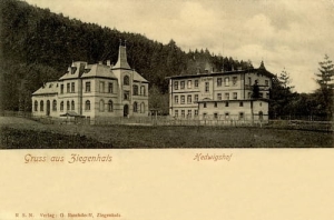 Głuchołazy Hedwigshof - Reprodukcja 19920