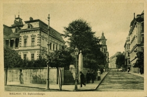 Bielsko Biała ul.Dąbrowskiego - Reprodukcja 192