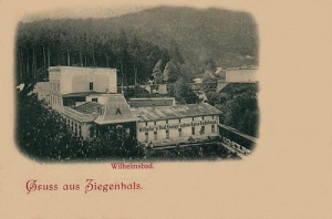 Głuchołazy Wilhelmsbad - Reprodukcja 19939