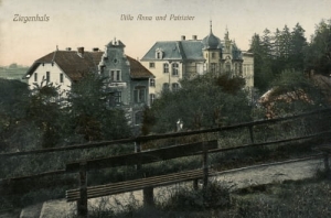 Głuchołazy Villa Anna - Reprodukcja 19945