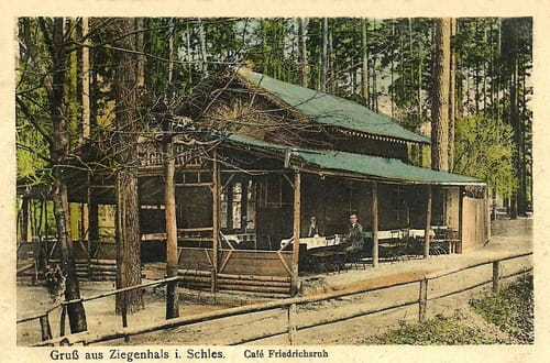 nowe-19948.jpg