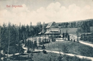Głuchołazy - Reprodukcja 19962