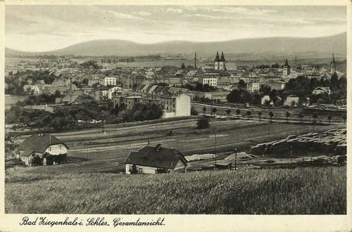 nowe-19978.jpg