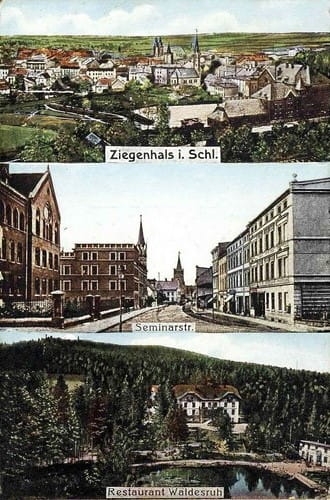 nowe-19980.jpg