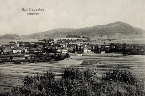 Głuchołazy panorama - Reprodukcja 19986