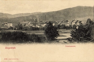 Głuchołazy panorama - Reprodukcja 19988