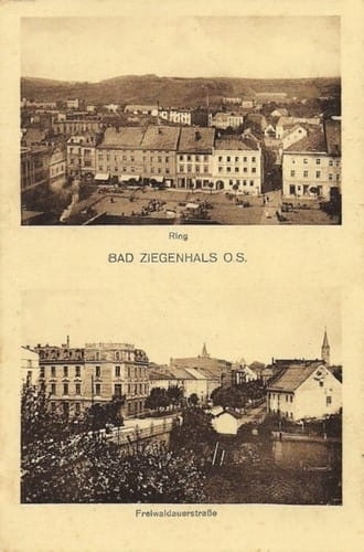 nowe-20045.jpg
