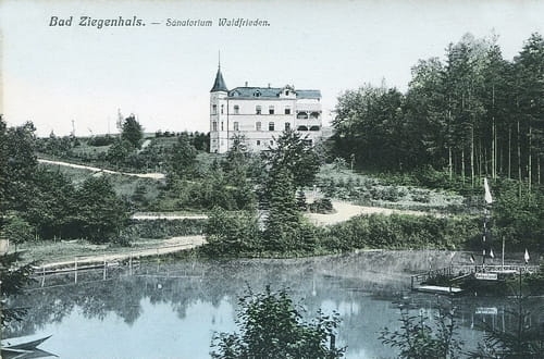nowe-20060.jpg