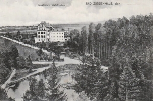 Głuchołazy - Reprodukcja 20061