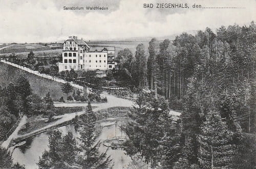 nowe-20061.jpg