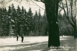 Jaworze Dolina Szalinowa - Reprodukcja 20070