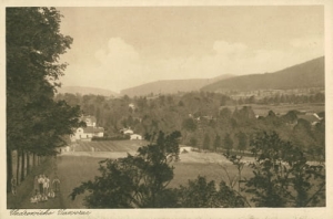 Jaworze panorama - Reprodukcja 20071