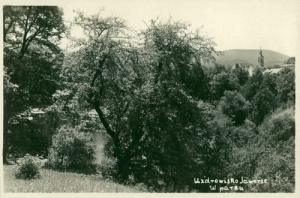 Jaworze park - Reprodukcja 20076