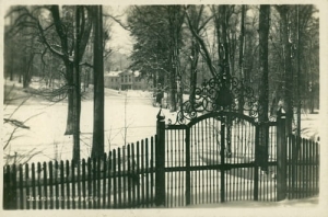 Jaworze - Reprodukcja 20077