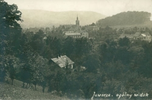 Jaworze panorama - Reprodukcja 20081