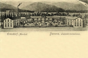 Jaworze Łazienki - Reprodukcja 20084