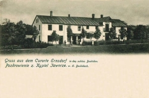 Jaworze - Reprodukcja 20086