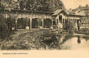 Jaworze - Reprodukcja 20087