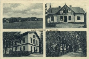 Jaworze widokowa - Reprodukcja 20089