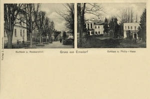 Jaworze widokowa - Reprodukcja 20090