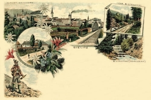 Jaworze widokowa - Reprodukcja 20091