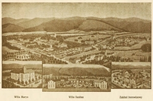 Jaworze widokowa - Reprodukcja 20093