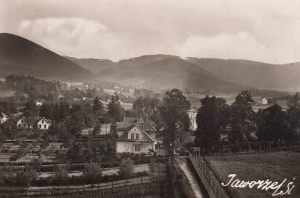 Jaworze panorama - Reprodukcja 20095