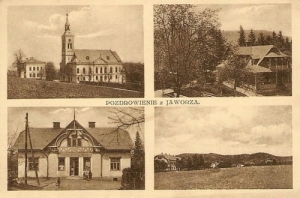 Jaworze widokowa - Reprodukcja 20100