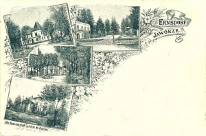 Jaworze widokowa - Reprodukcja 20101