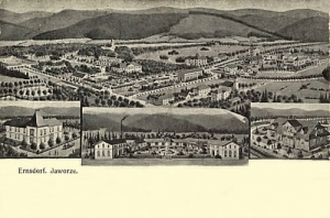 Jaworze widokowa - Reprodukcja 20104